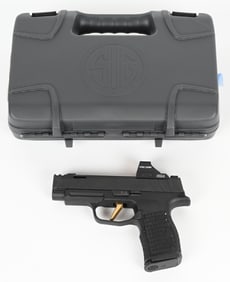 SIG SAUER P365 CUSTOM WORKS WITH HOLOSUN/CASE