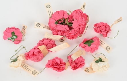 SPANISH AMERICAN WAR PRESIDENT MCKINLEY CORONATION