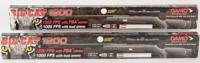 LOT (2) GAMO BIG CAT1200 .177 PELLET AIR RIFLES