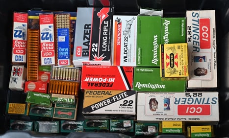 OVER 9200 ROUNDS OF 22 RIMFIRE FUN!