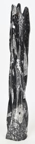 LARGE ORTHOCERAS POLISHED FOSSIL