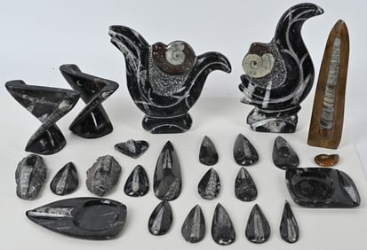 LOT OF POLISHED ORTHOCERAS FOSSILS & MORE