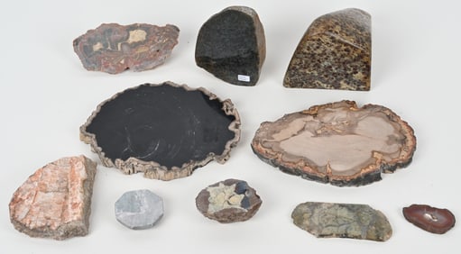 POLISHED PETRIFIED WOOD & MORE