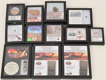 LOT OF FRAMED AND IDENTIFIED FOSSILS