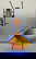 item-211009187=2