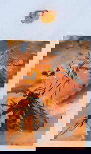 AMBER FOSSIL WITH INSECTS: Well preserved fossil with insects. Magnified photo shows the details. Measures about 7/8"