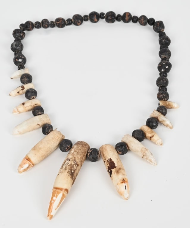 VINTAGE SALT WATER CROCODILE TOOTH NECKLACE: Vintage crocodile tooth necklace with 11 teeth. Measures about 25" Very Good