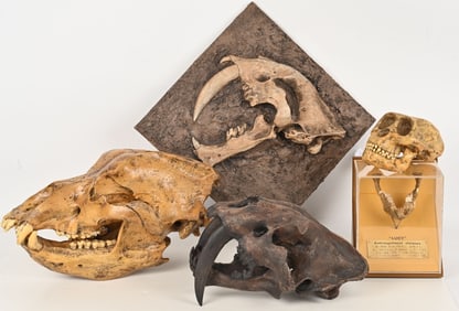 PREHISTORIC SKULL REPLICA LOT