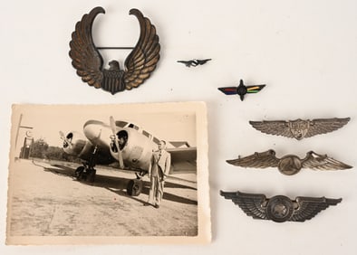 WWII US CIVILIAN PILOT PROGRAM GROUP W WINGS WW2