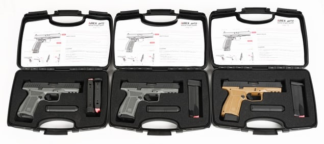 AREX DELTA M PISTOLS WITH 2 CONSECUTIVELY NUMBERED