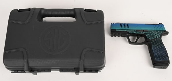 SIG SAUER MODEL P365 CUSTOM PAINT