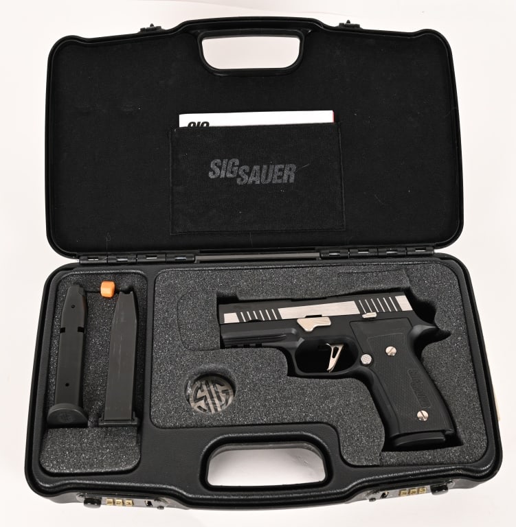 SIG SAUER EQUINOX CUSTOM WORKS 9MM PISTOL (1 of 7)