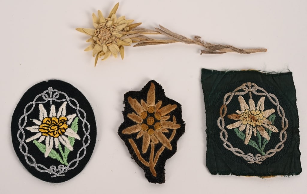 WWII NAZI GERMAN EDELWEISS LOT W FLOWER WW2: Lot of German Edelweiss also including an actual flowerAll three insignias do not react to Uv light. 