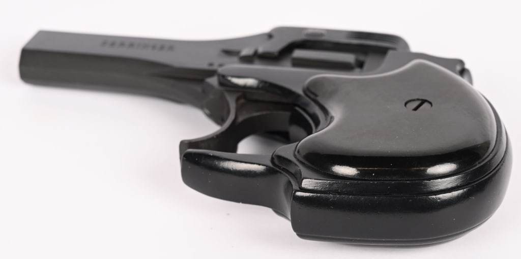 HIGH STANDARD DERRINGER .22LR - 5