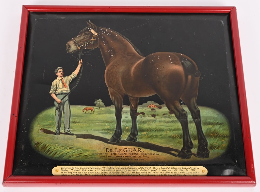 DR LeGEAR VETERINARY "GIANT HORSE" TIN SIGN: Dr LeGear Veterinary "Giant Horse" Tin Sign. All original with nice image. Has some flakes. Framed 18 1/2x14 1/2" Excellent