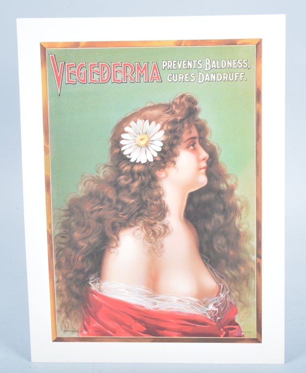 VEGEDERMA Baldness Cure ADVERTISMENT: Beautiful image of girl. Great colors. 15"x11" on heavy paper. By Chas. W Shonk Co. Chicago. Excellent