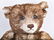 STEIFF TEDDY BEAR 1926 Limited Edition - 3