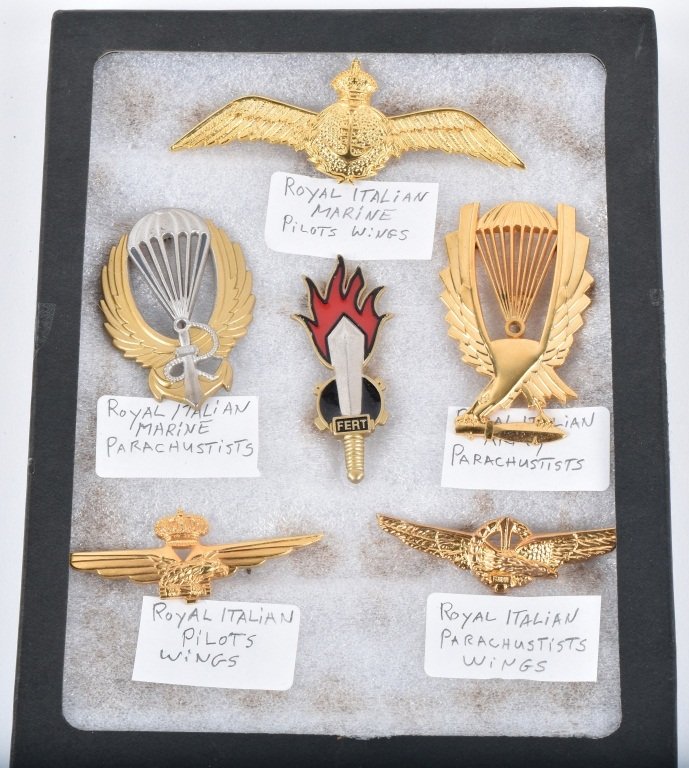 ROYAL ITALIAN PILOT WINGS & PARACHUTIST WINGS: Royal Italian Marines Pilot Wings, Royal Italian Marine Parachutist Hat Badge, Royal Italian Army Parachutisy Hat Badge, Royal Italian Pilot Wings, and Royal Italian Parachutist Wings. Excellent