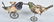 GERMAN Hand Painted Tin Windup LOVE BIRDS