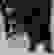 item-49916173=5