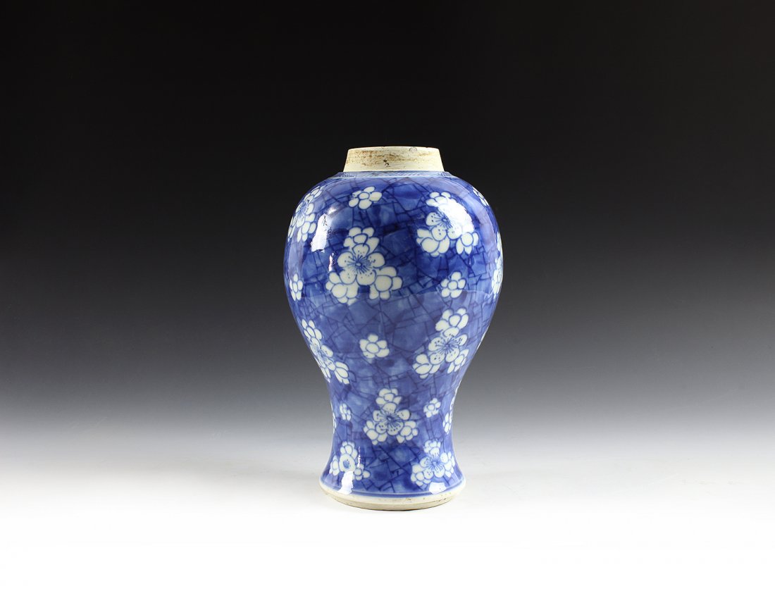 A blue and white vase  ï‚ŸQing Dynasty, 18th CT. (1 of 6)