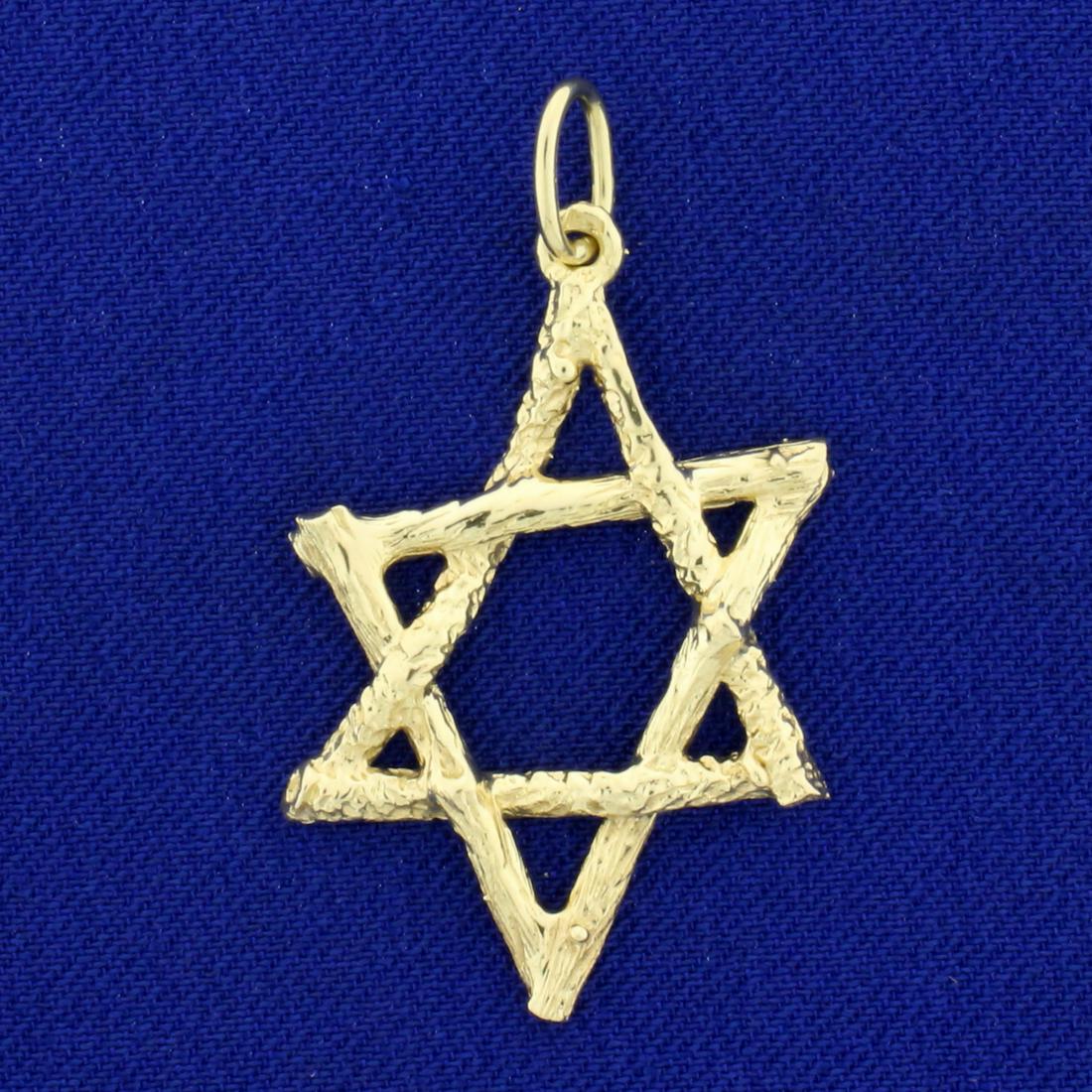 Star of David Nature Design Pendant in 14K Yellow Gold: In 14K Yellow Gold. 1 1/2 inches long with bale. 2.5g