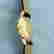 item-79052770=4