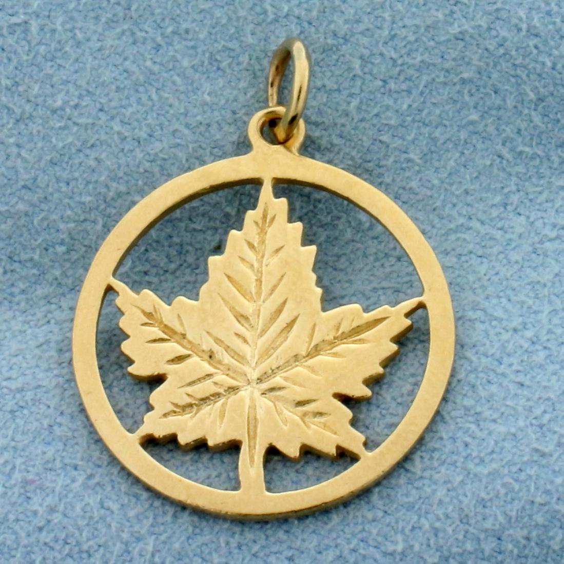 Maple Leaf Pendant in 14K Yellow Gold: In 14K Yellow Gold. 15/16 inch long including bale, 13/16 inch wide. 2.7g