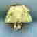 item-108931301=2