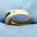 item-109131003=2