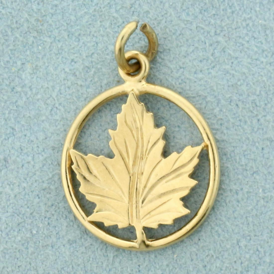 Canadian Maple Leaf Pendant in 10K Yellow Gold: In 10K Yellow Gold. 1 inch long. 1.8g