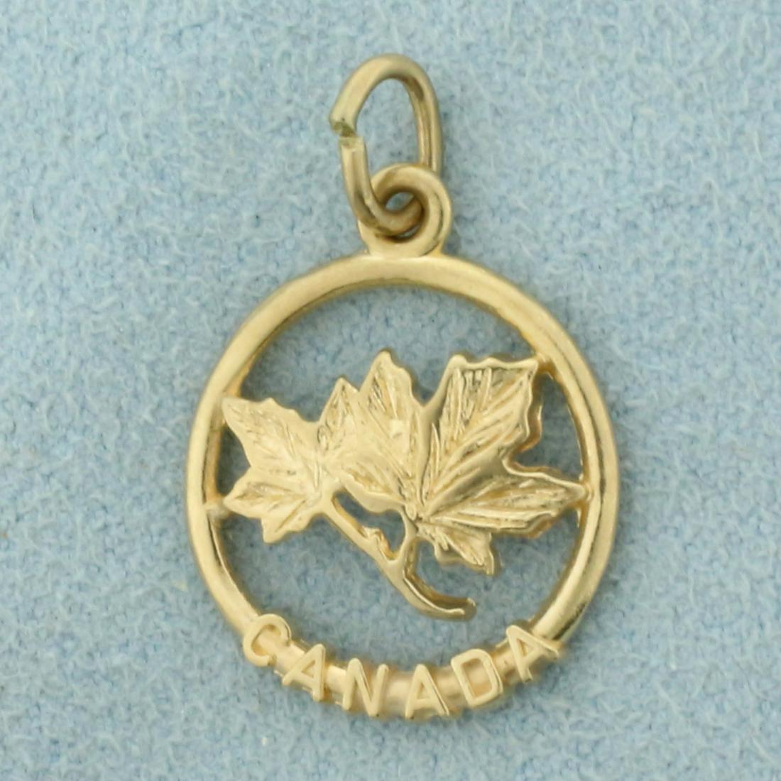 Canada Maple Leaf Pendant in 10K Yellow Gold: In 10K Yellow Gold. 1 inch long. 1.3g