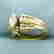 item-128956831=2
