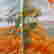 item-129617263=7