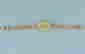 item-131586034=3