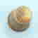 item-131707862=4