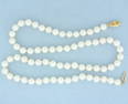 18 Inch Akoya Cultured Pearl Hand Knotted Strand Necklace with 14k Yellow Gold Clasp