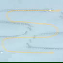 18 Inch Italian Rope Link Chain Necklace in 14k Yellow Gold