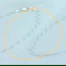 Figaro Anklet in 14k Yellow Gold