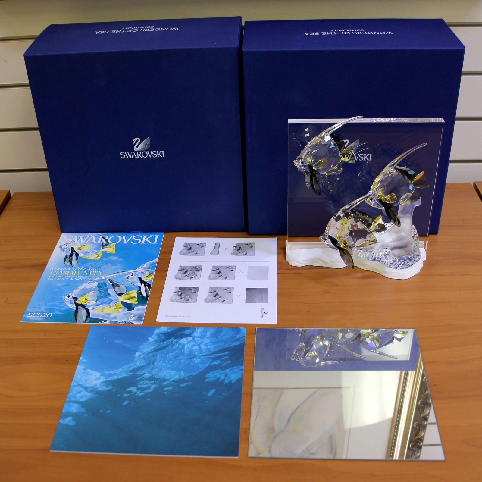 Swarovski Crystal 854650 Wonders of the Sea Community Colored Fish with Box and COA (1 of 5)