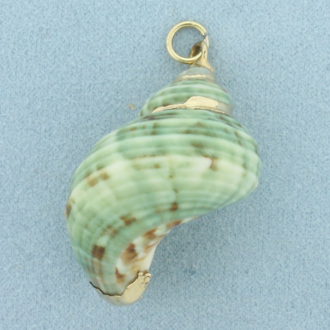 Vintage Hand Painted Green Shell Pendant or Charm: Gold Plate. 1 5/8 inch long. 1 inch wide. 7.1g.