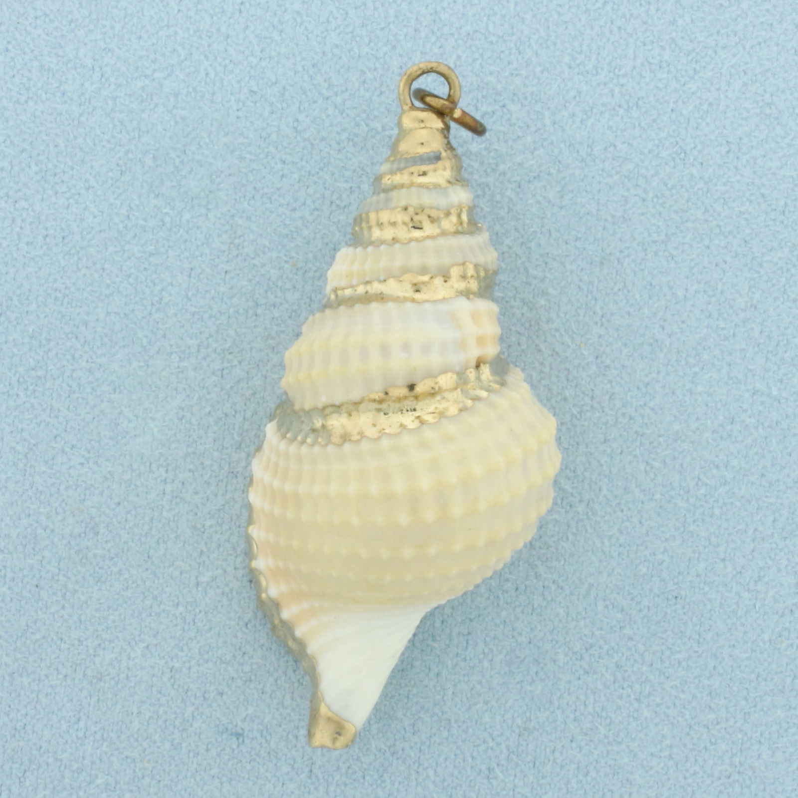 Vintage Hand Painted Shell Pendant or Charm: Gold Plate. 2 inches long. 3/4 inch wide. 4.8g.