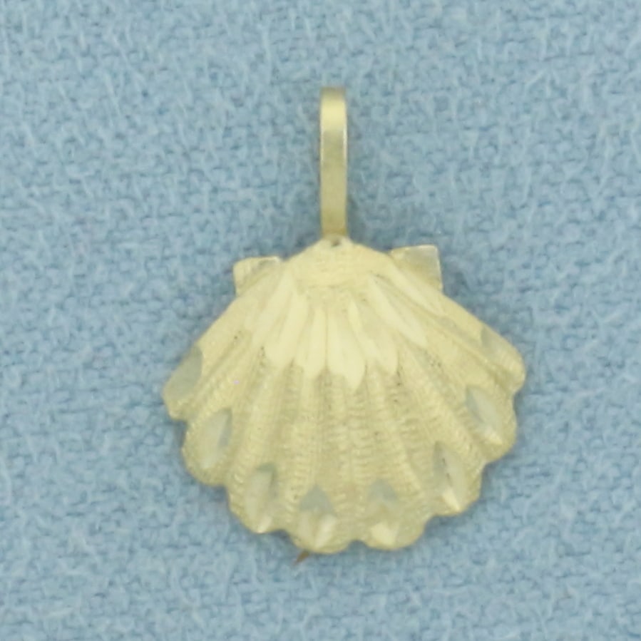 Seashell Pendant or Charm in 14k Yellow Gold: In 14k Yellow Gold. 1/2 inch long (including bale). 3/8 inch wide. 0.4g.