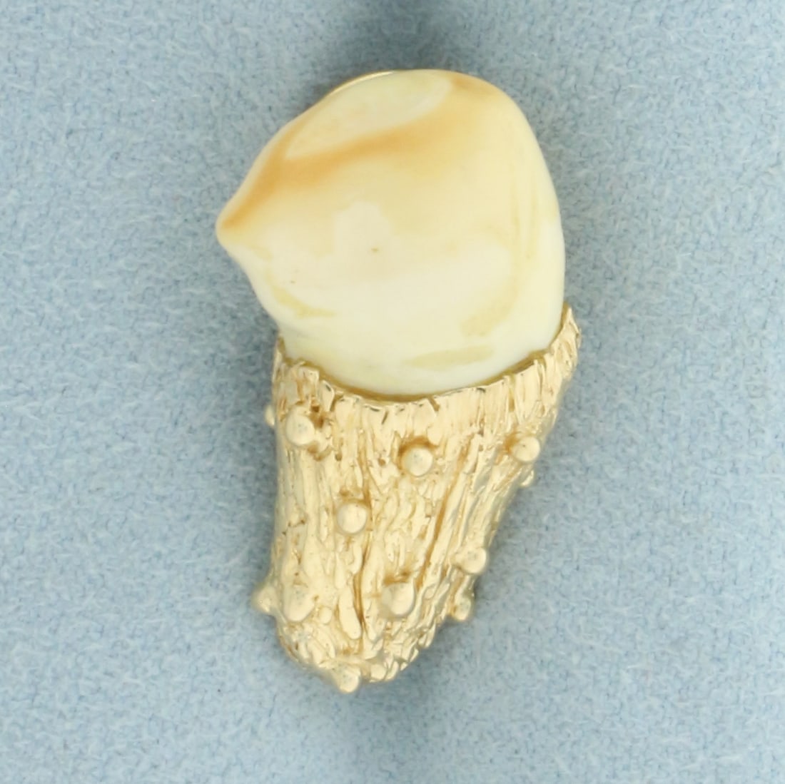 Vintage Large Animal Tooth Pin in 10k Yellow Gold: In 10k Yellow Gold (pin back is gold plated). 1 1/8 inch long. 5/8 inch wide. 7.3g.