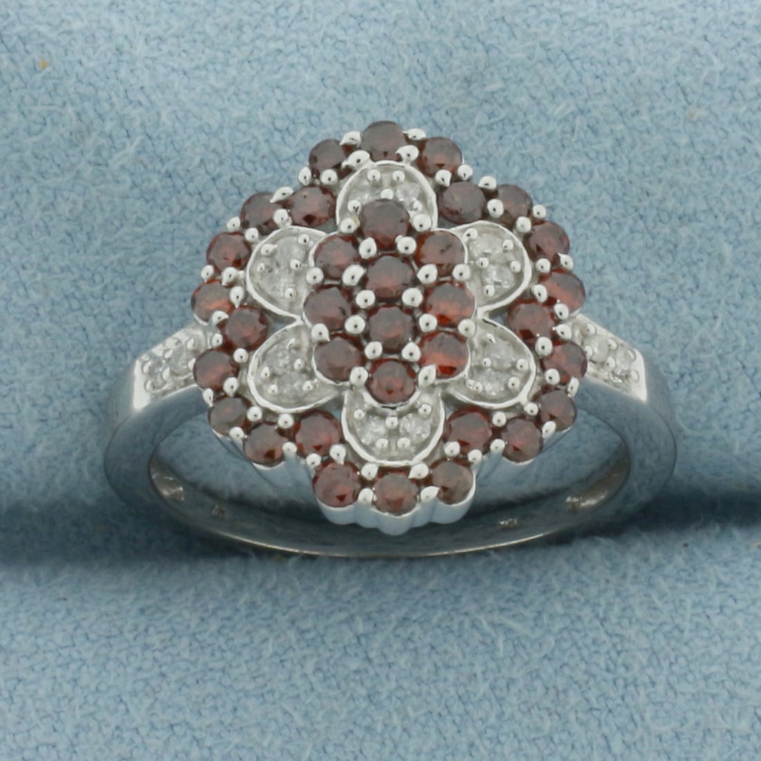 Garnet and Diamond Ring in 10k White Gold (1 of 4)