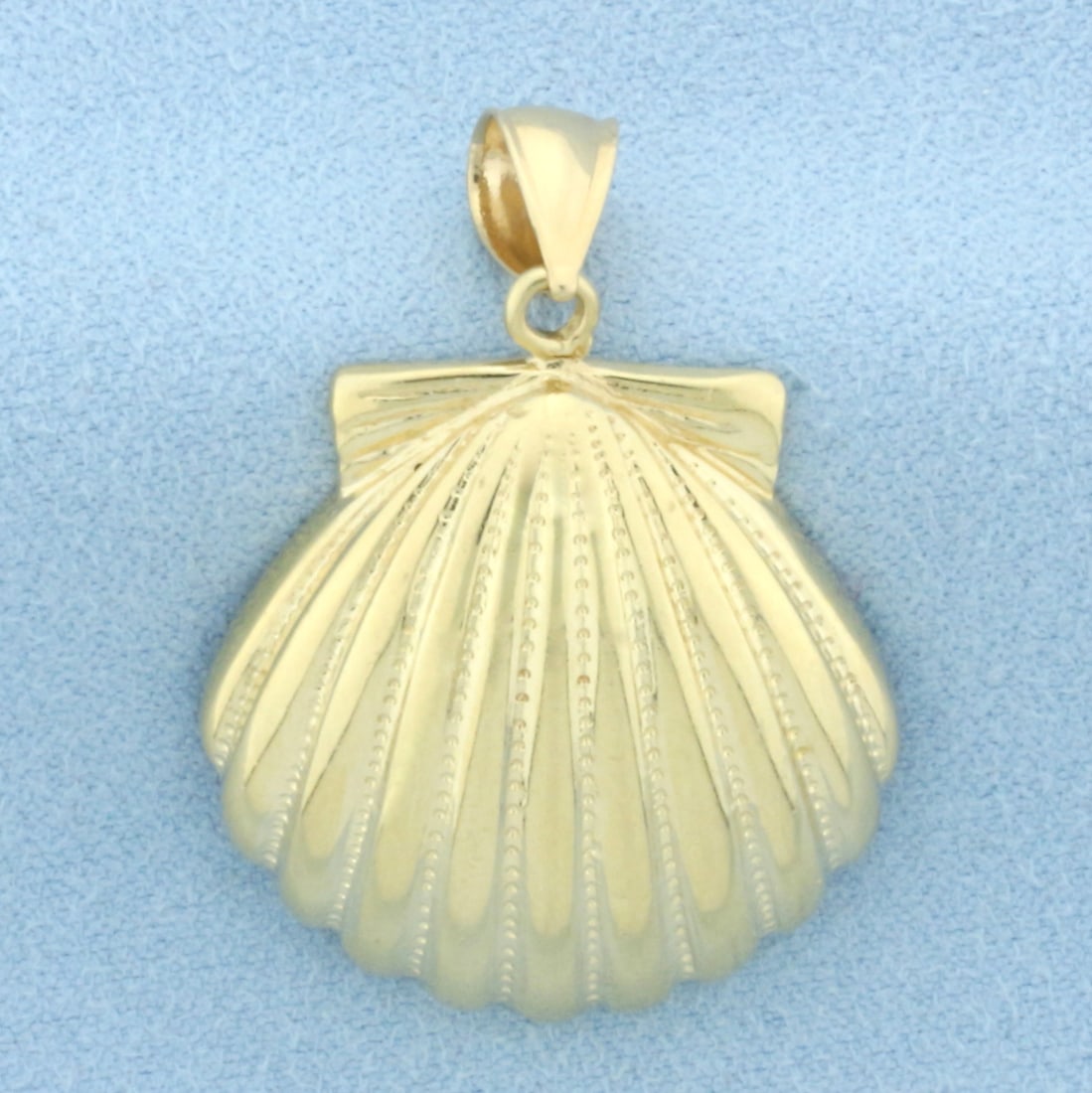 Seashell Pendant in 14k Yellow Gold