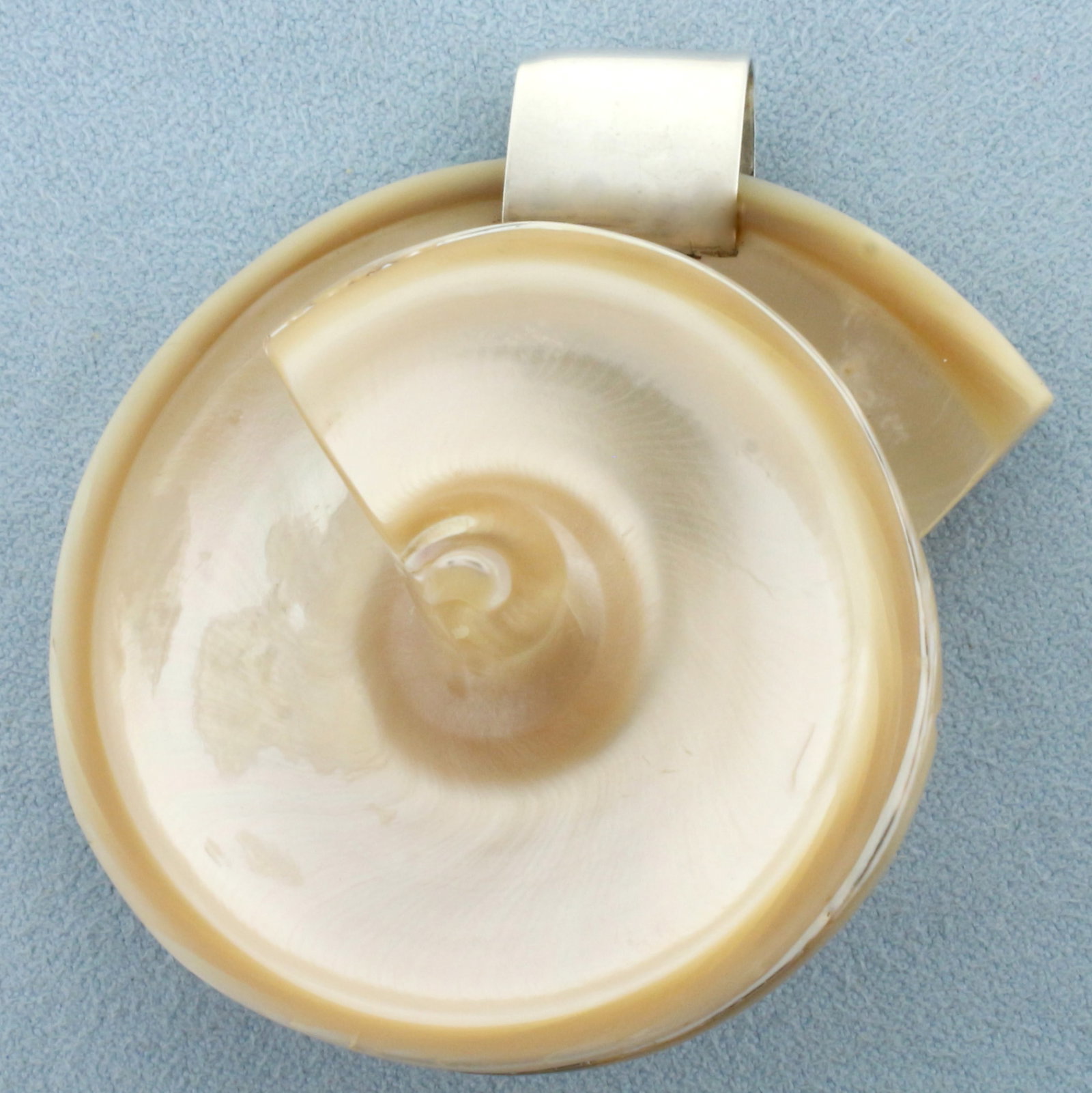 Modernist Signed Designer Celia Sebiri Shell Pendant - 2