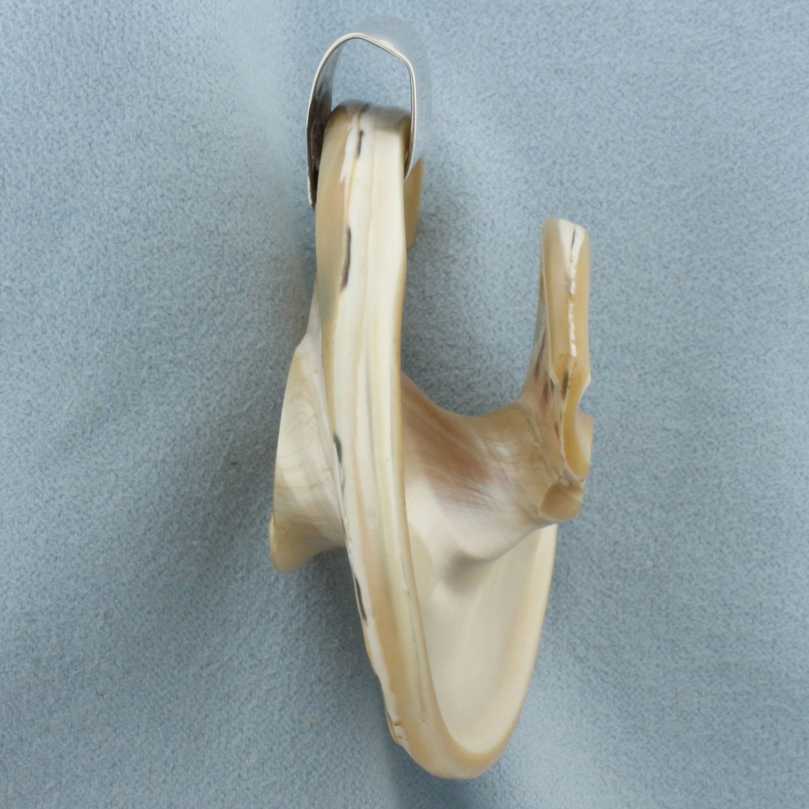 Modernist Signed Designer Celia Sebiri Shell Pendant - 3
