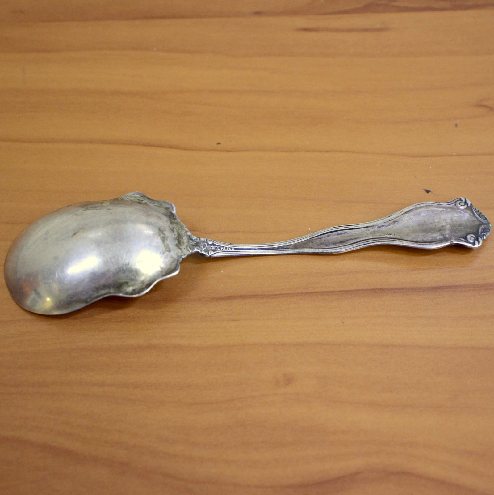 International "Winchester" Sterling Silver Sugar Shell Spoon - 2