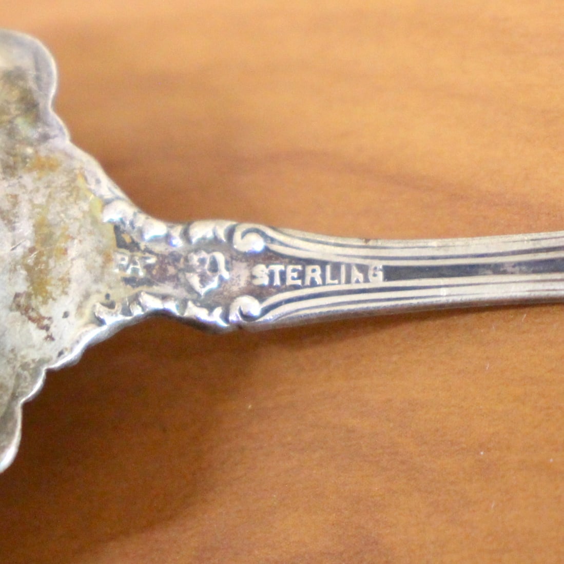 International "Winchester" Sterling Silver Sugar Shell Spoon - 3